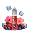 E liquide Bonobo 00mg 50ml Swag juice  | Eleciga