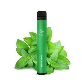 Menthe verte 600 Puffs...