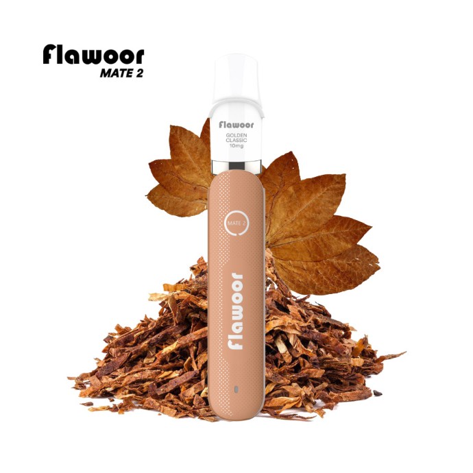 Kit Golden Classic Puff Rechargeable - Flawoor Mate 2 | Eleciga