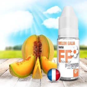 Melon Galia 10ml - Flavour Power