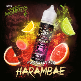Harambae 00mg 50ml Monkey Mix - Twelve Monkeys - Citron pamplemousse orange goyave